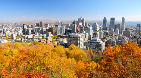 Montreal Quebec Skyline