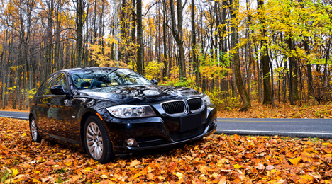BMW in fall leaves