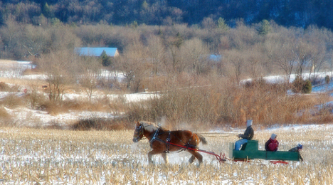 one horse open sleigh