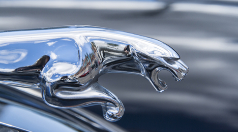 Jaguar hood ornament