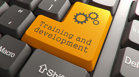 training and development button
