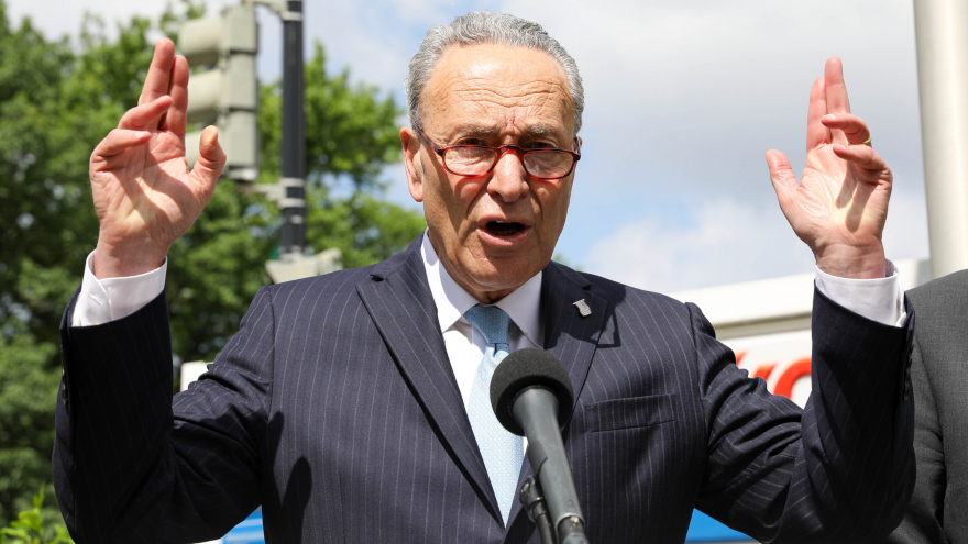 senator schumer for ART