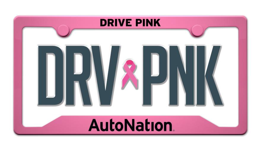 AutoNation_DRV_PNK_Logo