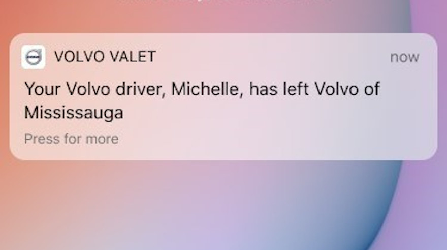 Volvo Valet